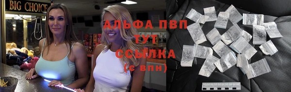 spice Новодвинск