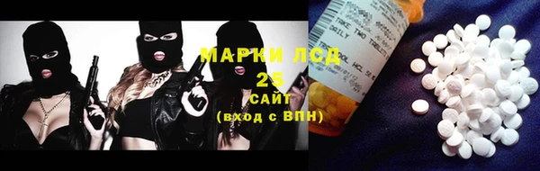 spice Новодвинск