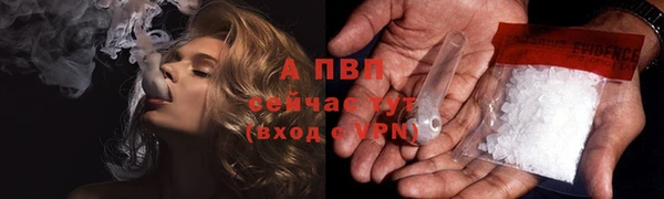 spice Новодвинск
