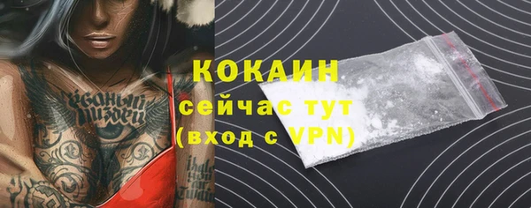 spice Новодвинск