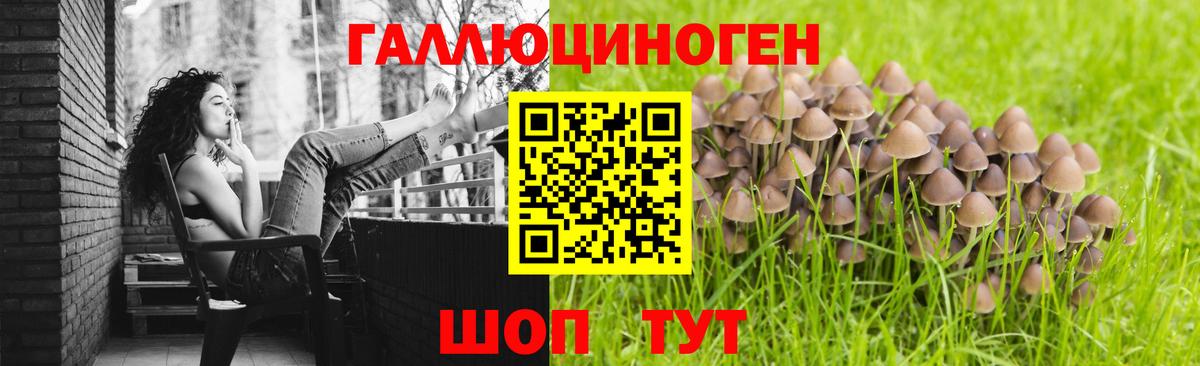 где продают   Галлюциногенные грибы MAGIC MUSHROOMS  Вход с VPN  Бугуруслан 