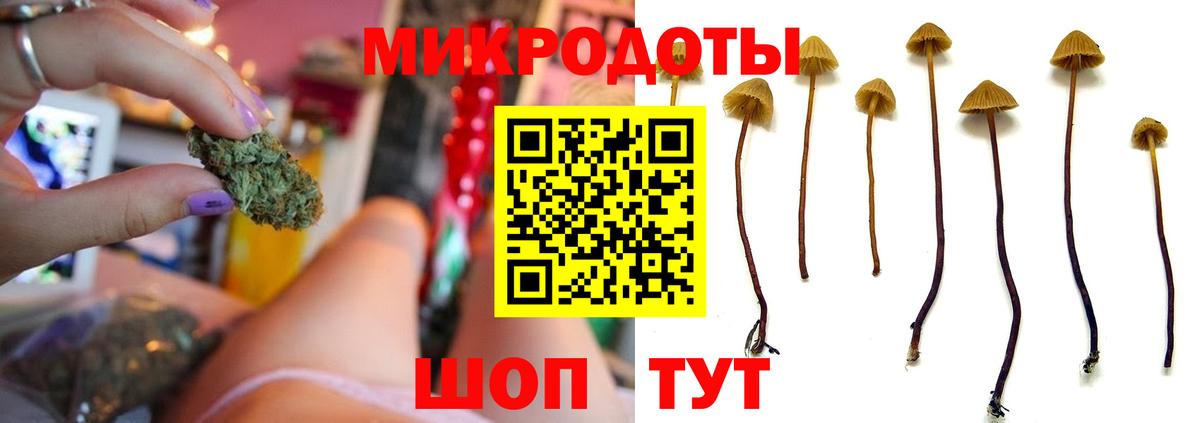 Псилоцибиновые грибы MAGIC MUSHROOMS  Бугуруслан  Псилоцибиновые грибы GOLDEN TEACHER 